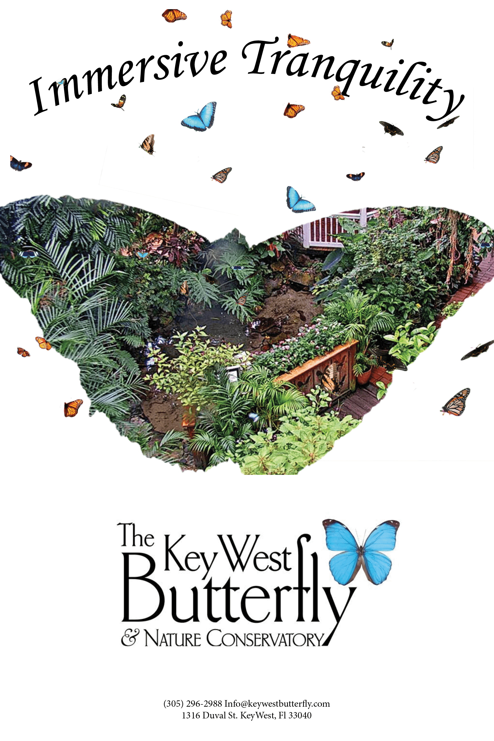 Butterfly Museum Poster