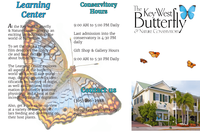 Key West Butterfly Museum Brochure